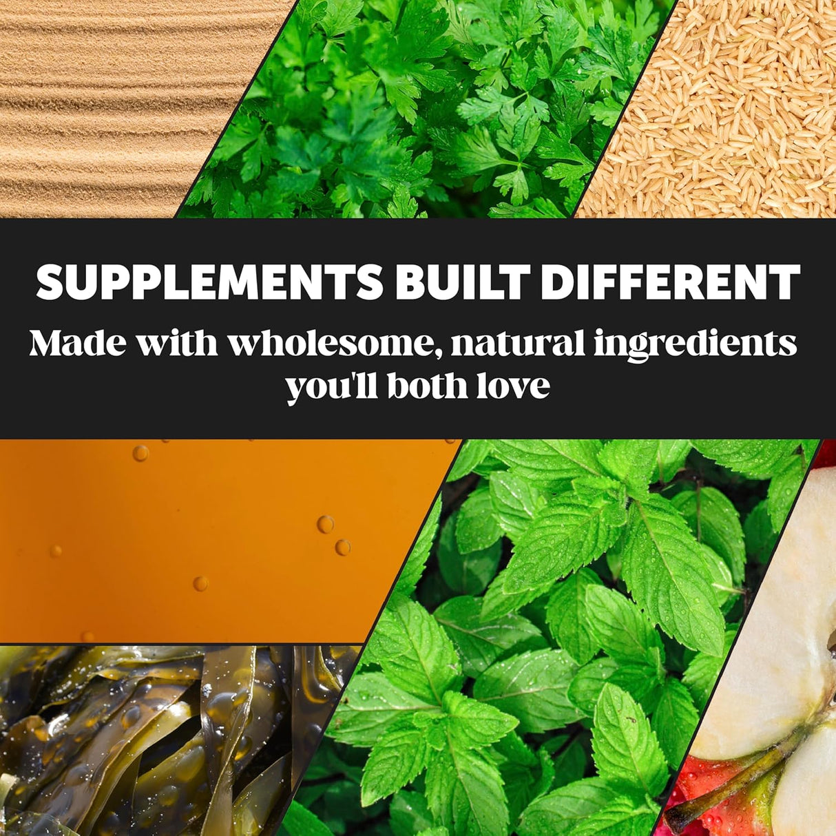 Pet Honesty Cat Breath Freshener Dental Powder 60 Servicios