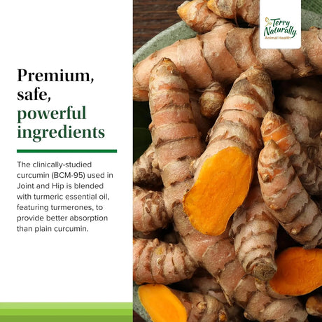 TRUSTWELL PAWMEDICA - Terry Naturally Joint & Hip 60 Masticables - The Red Vitamin MX - Cuidado De Cadera Y Articulaciones Para Perros - {{ shop.shopifyCountryName }}