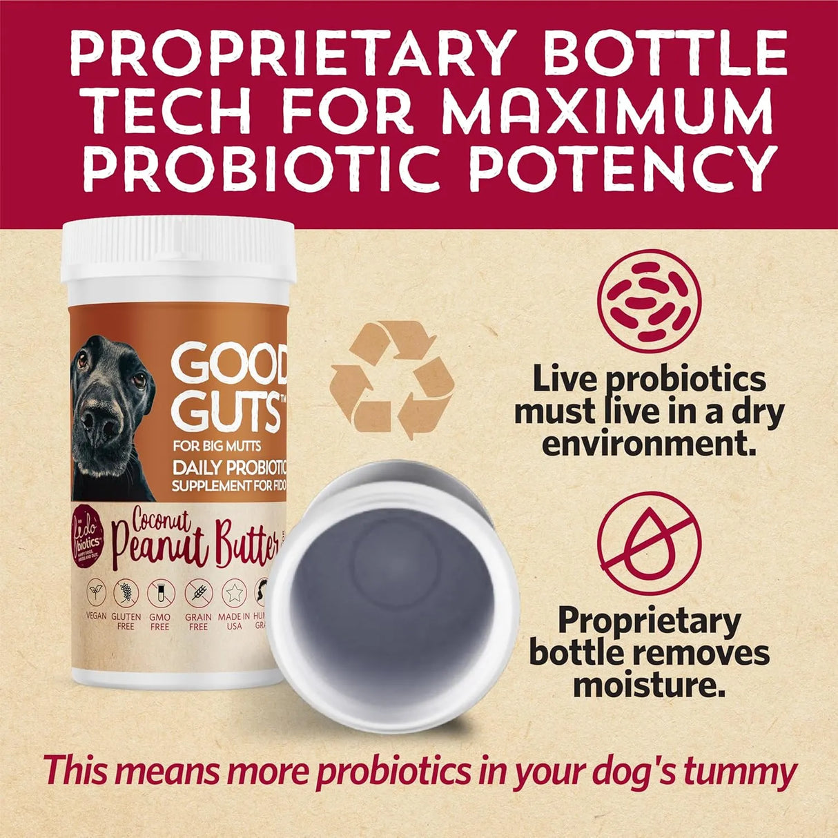 FIDOBIOTICS - Fidobiotics Good Guts for Big Mutts Probiotic for Dogs 20 Dias - The Red Vitamin MX - Probióticos Para Perros - {{ shop.shopifyCountryName }}