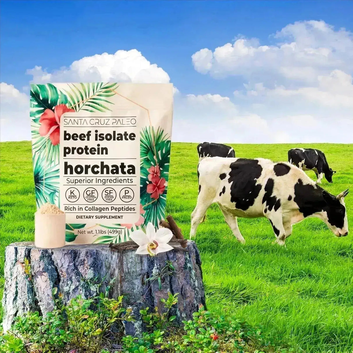 SANTA CRUZ PALEO - Santa Cruz Paleo Beef Isolate Protein Powder Horchata 499Gr. - The Red Vitamin MX - Suplementos Alimenticios - {{ shop.shopifyCountryName }}