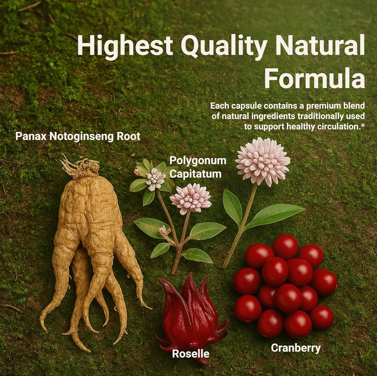 DR. HERBAL WELL - DR. HERBAL WELL UTFREX Clinically Proven Urinary Tract UTI Health 60 Capsulas - The Red Vitamin MX - Suplementos Alimenticios - {{ shop.shopifyCountryName }}