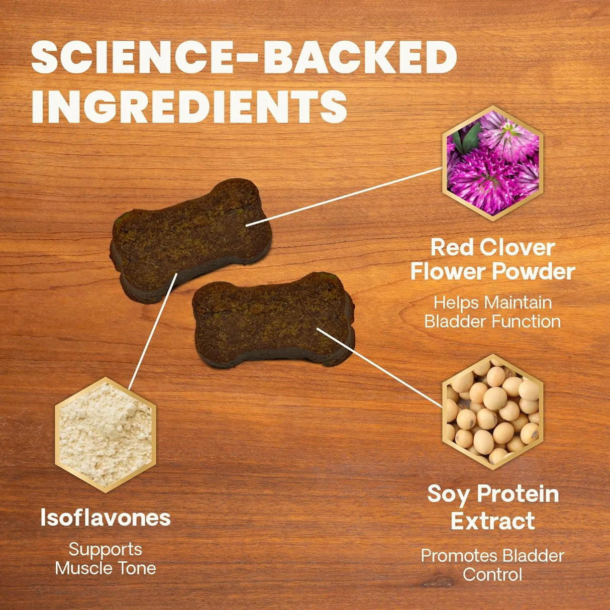 VETRISCIENCE - VETRISCIENCE Bladder Health Chews Chicken 60 Masticables - The Red Vitamin MX - Salud De Tracto Urinario Para Perros - {{ shop.shopifyCountryName }}