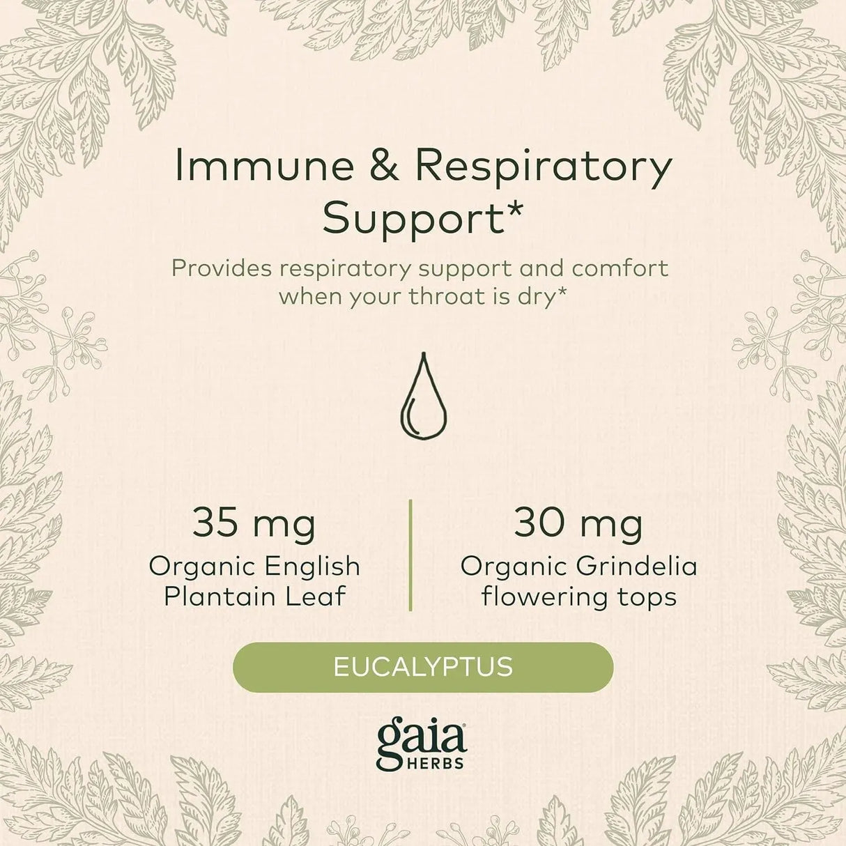 GAIA HERBS - Gaia Herbs Bronchial Wellness Syrup 160Ml. - The Red Vitamin MX - Suplementos Alimenticios - {{ shop.shopifyCountryName }}
