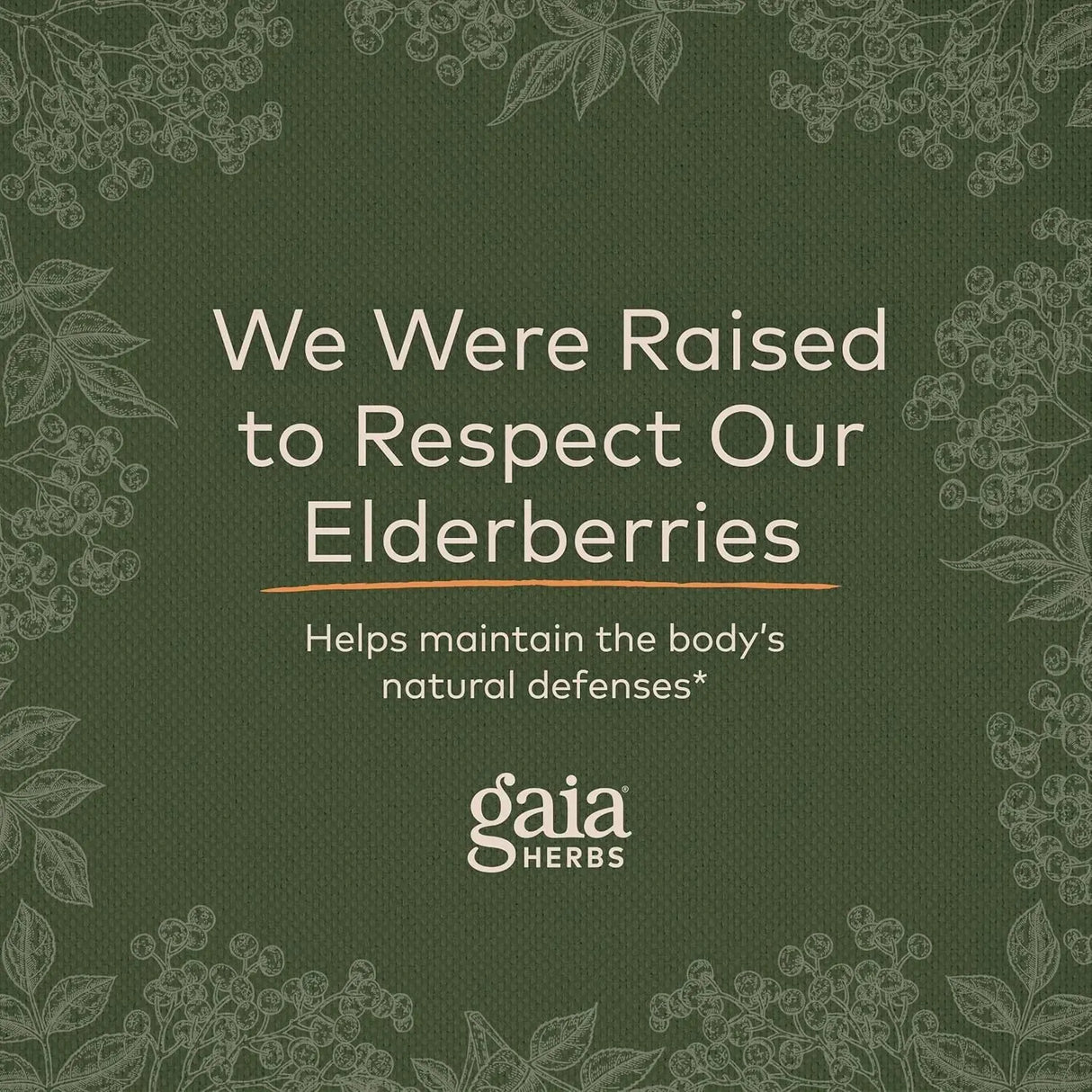 GAIA HERBS - Gaia Herbs Black Elderberry Sambucus Nigra Extra Strength Gummies 120 Gomitas - The Red Vitamin MX - Suplementos Alimenticios - {{ shop.shopifyCountryName }}