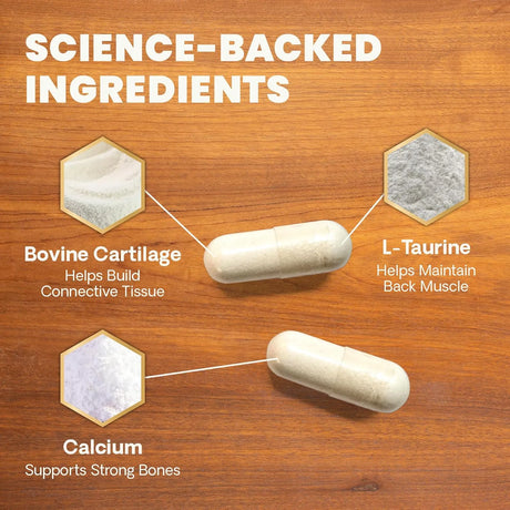 VETRISCIENCE - VetriScience Healthy Spine & Disc Back & Spinal Support Chondroitin & Taurine Supplement for Dogs 180 Capsulas - The Red Vitamin MX - Cuidado De Cadera Y Articulaciones Para Perros - {{ shop.shopifyCountryName }}