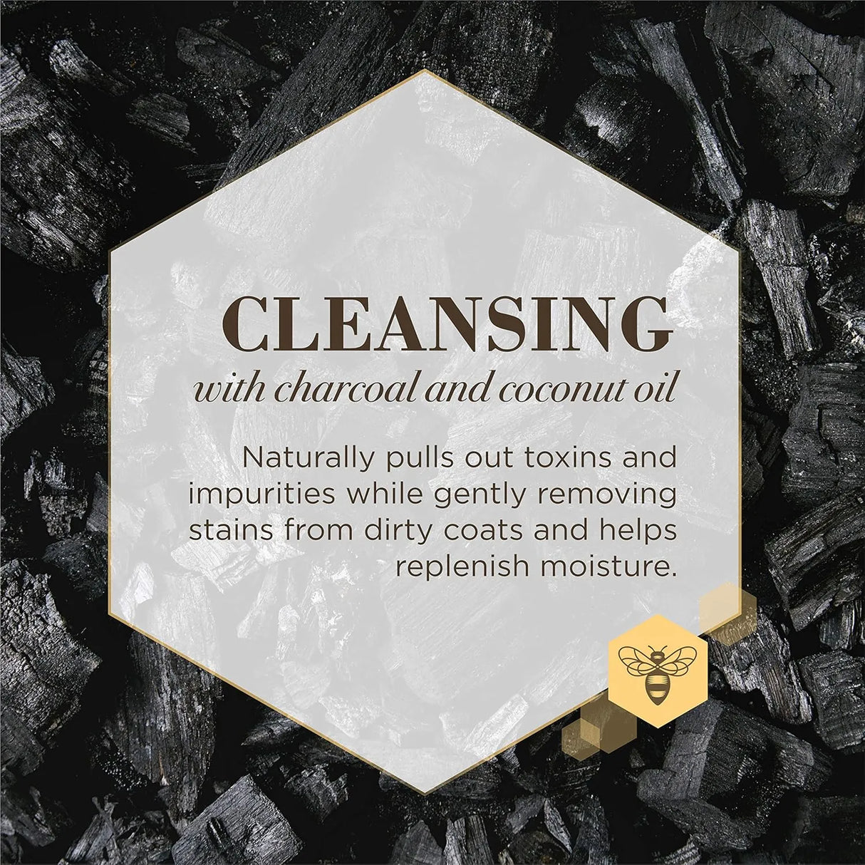 BURT'S BEES - Burt's Bees for Pets Care Plus+ Naturally Derived Charcoal & Coconut Oil Ear Wash for Dogs 4 Fl.Oz. - The Red Vitamin MX - Cuidado Del Oído De Perros - {{ shop.shopifyCountryName }}