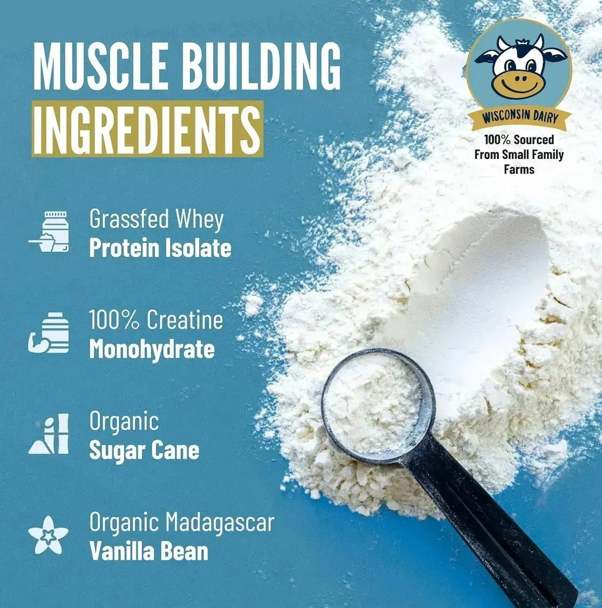 B.RAD - B.rad Grass Fed Whey Protein Isolate Powder with Creatine Vanilla Bean 907Gr. - The Red Vitamin MX - Suplementos Alimenticios - {{ shop.shopifyCountryName }}