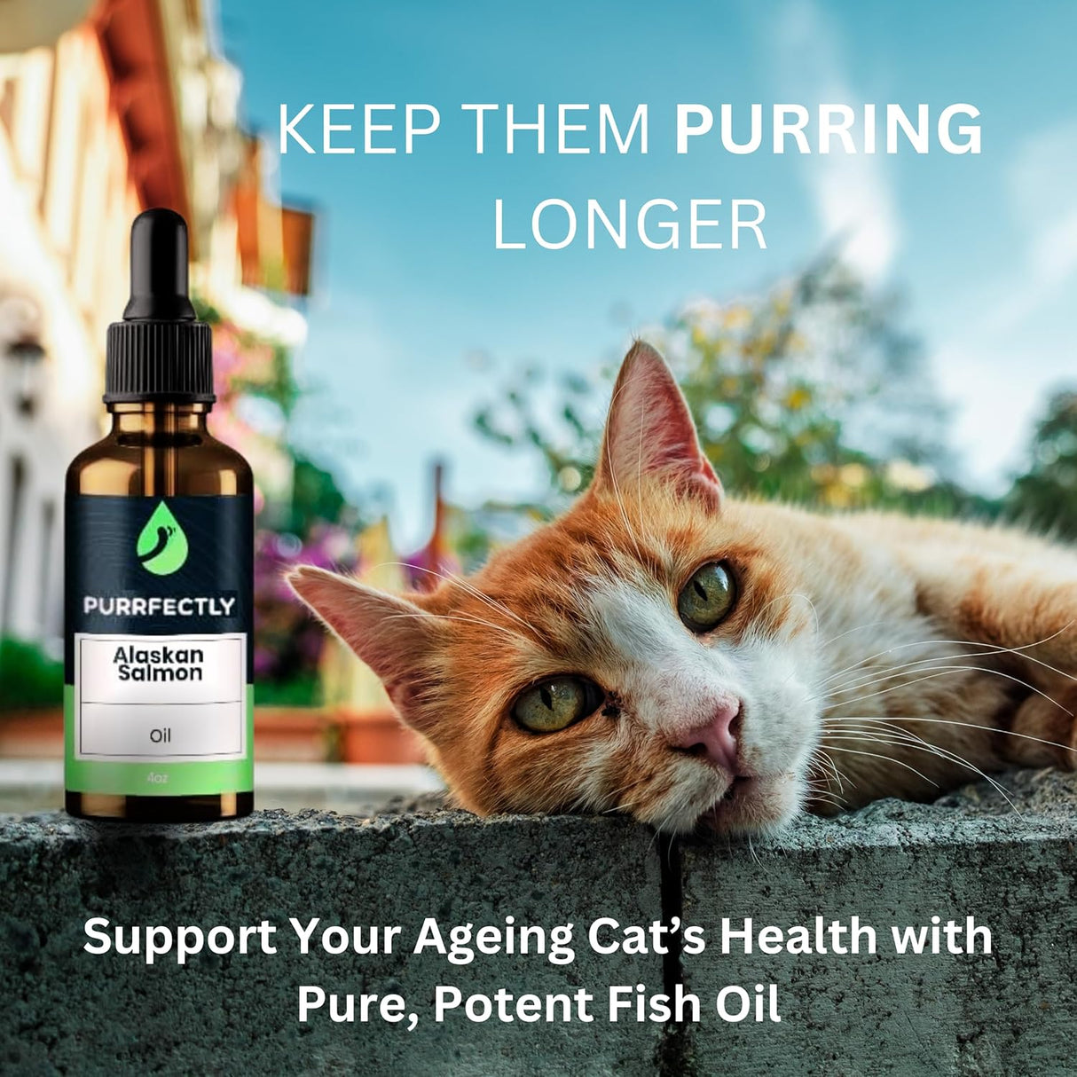 PURRFECTLY Omega-3 Fish Oil for Cats 4 Fl.Oz.