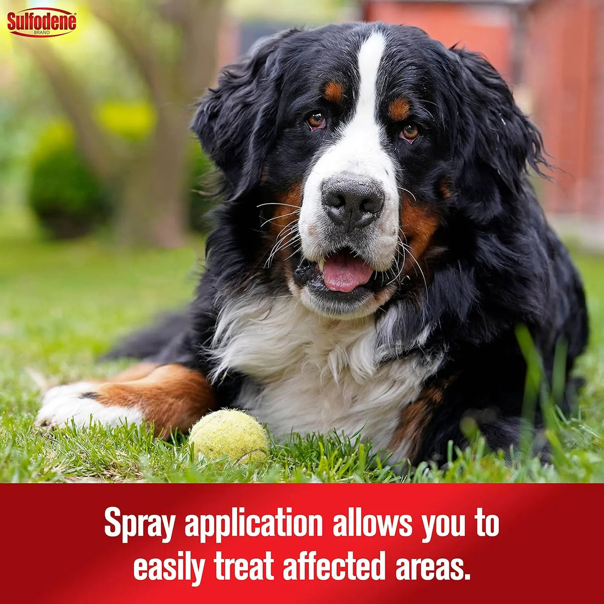 SULFODENE - Sulfodene Hot Spot & Itch Relief Medicated Spray for Dog 8 Fl.Oz. - The Red Vitamin MX - Remedios Para La Picazón De Perros - {{ shop.shopifyCountryName }}