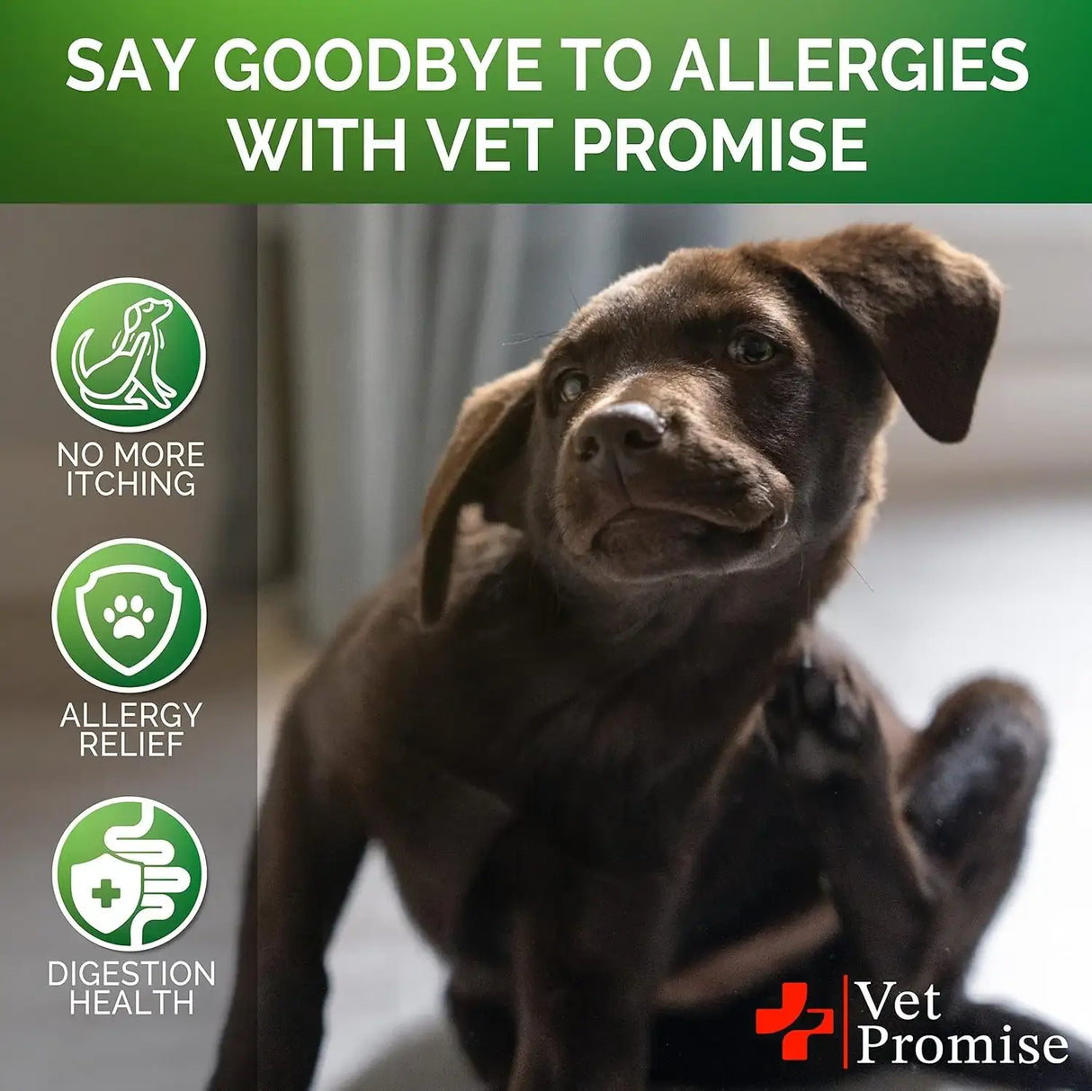 VET PROMISE - Vet Promise Dog Allergy Relief Chews 120 Masticables - The Red Vitamin MX - Remedios Para La Picazón De Perros - {{ shop.shopifyCountryName }}