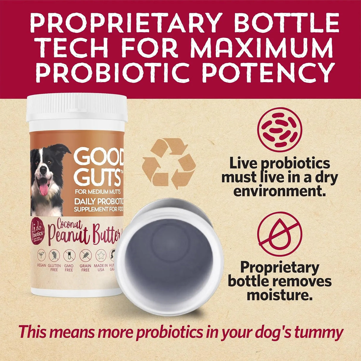 FIDOBIOTICS - Fidobiotics Good Guts for Medium Mutts Probiotic for Dogs 30 Dias - The Red Vitamin MX - Probióticos Para Perros - {{ shop.shopifyCountryName }}