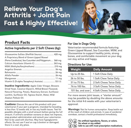 VETSMART - VetSmart Formulas Critical Joint Relief Soft Chew for Dogs 60 Masticables - The Red Vitamin MX - Cuidado De Cadera Y Articulaciones Para Perros - {{ shop.shopifyCountryName }}
