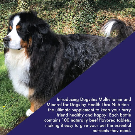 HEALTH THRU NUTRITION - Health Thru Nutrition Dog-Vites Multivitamins for Dogs 100 Masticables - The Red Vitamin MX - Multivitamínicos Para Perros - {{ shop.shopifyCountryName }}