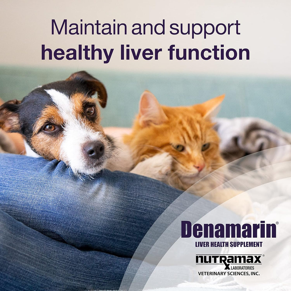 Nutramax Laboratories Denamarin Liver Health for Small Dogs and Cats 30 Tabletas