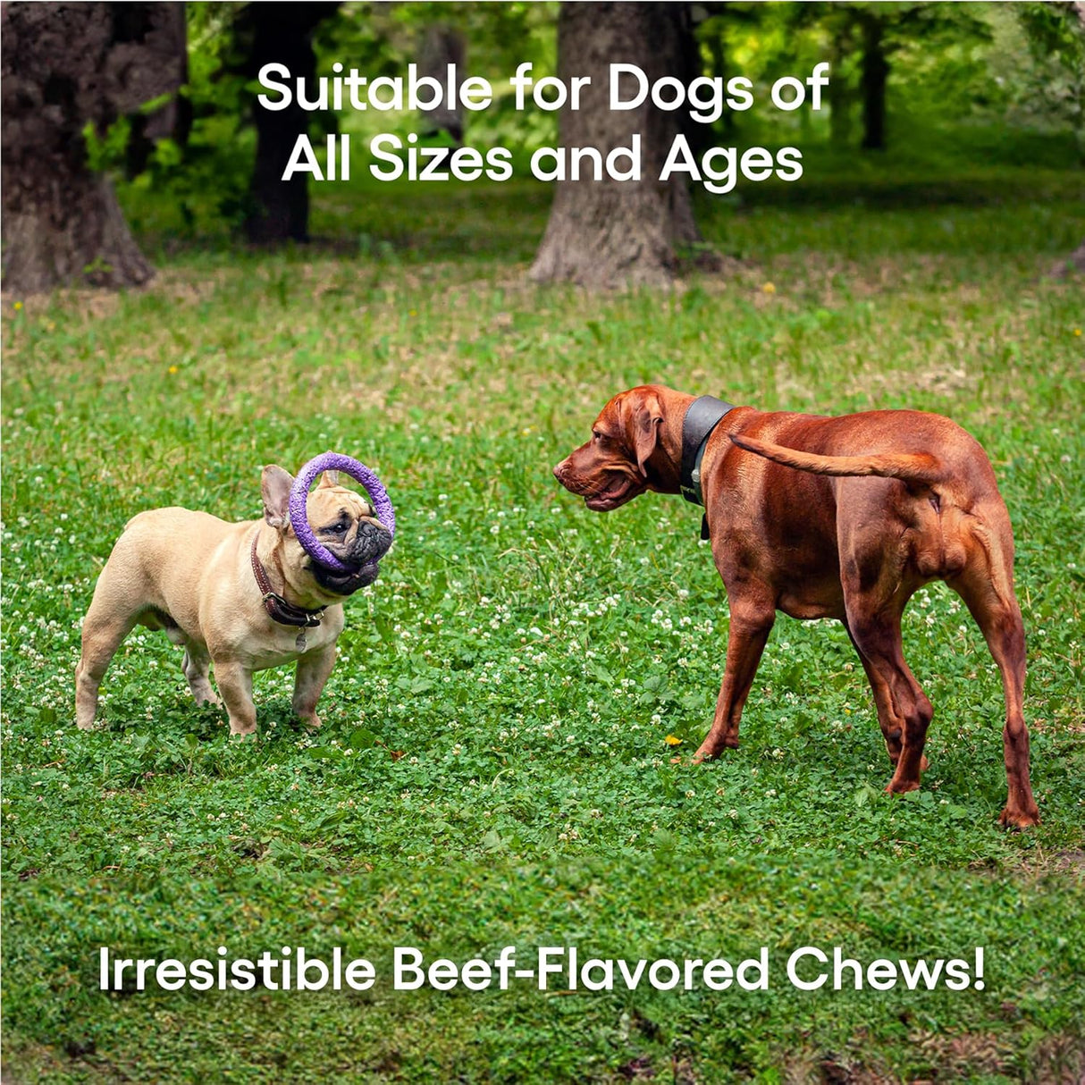 ecoNugenics PectaPaws Joints and Mobility Support 90 Tabletas Masticables