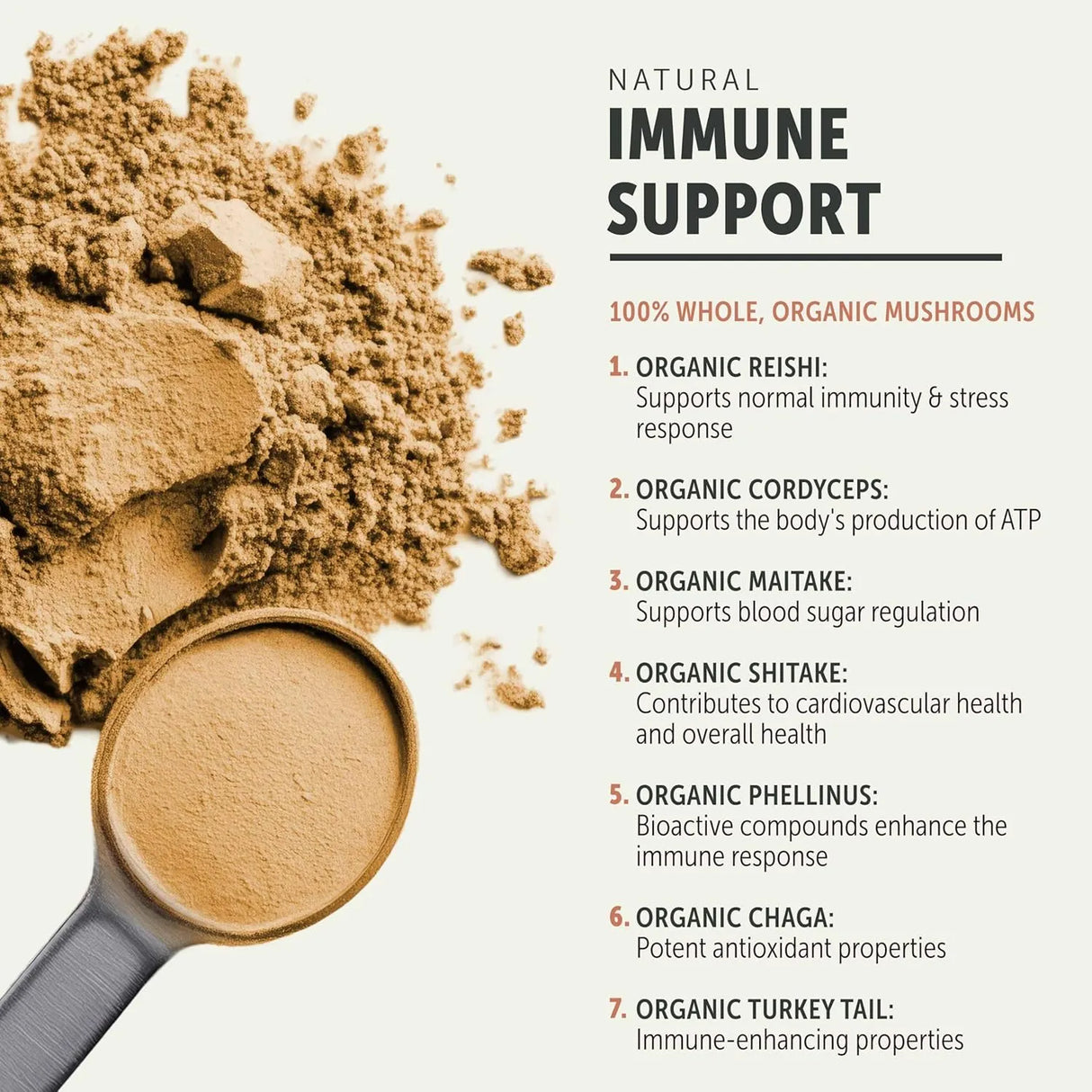 FOUR LEAF ROVER - FOUR LEAF ROVER Seven Shrooms Organic Mushroom Supplement for Dogs 51Gr. - The Red Vitamin MX - Suplementos Herbales Para Perros - {{ shop.shopifyCountryName }}