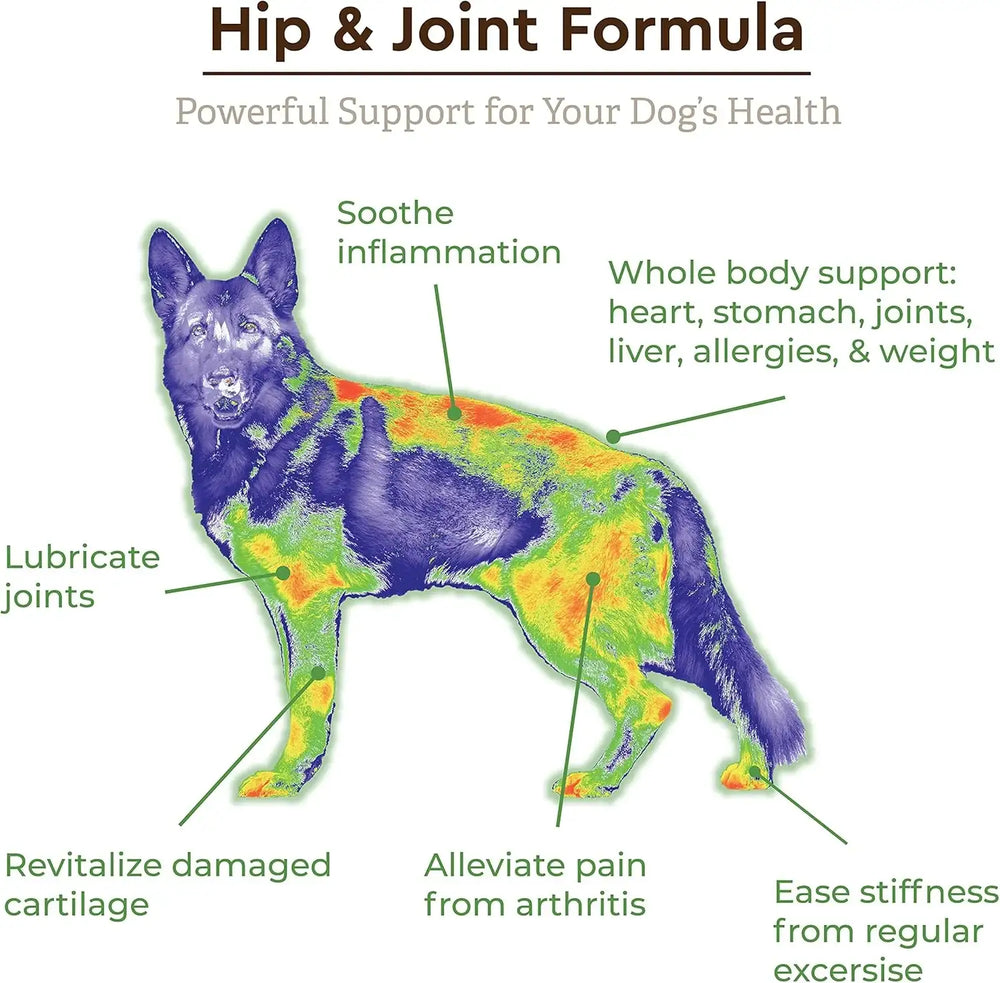 INFINITE PET - Infinite Pet Ultimate Hip and Joint Supplement for Dogs Peanut Butter 90 Masticables - The Red Vitamin MX - Cuidado De Cadera Y Articulaciones Para Perros - {{ shop.shopifyCountryName }}