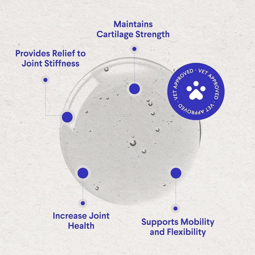 WONDER PAWS - WONDER PAWS Premium Liquid Glucosamine for Dogs Strength Joint Support 16 Fl.Oz. - The Red Vitamin MX - Cuidado De Cadera Y Articulaciones Para Perros - {{ shop.shopifyCountryName }}