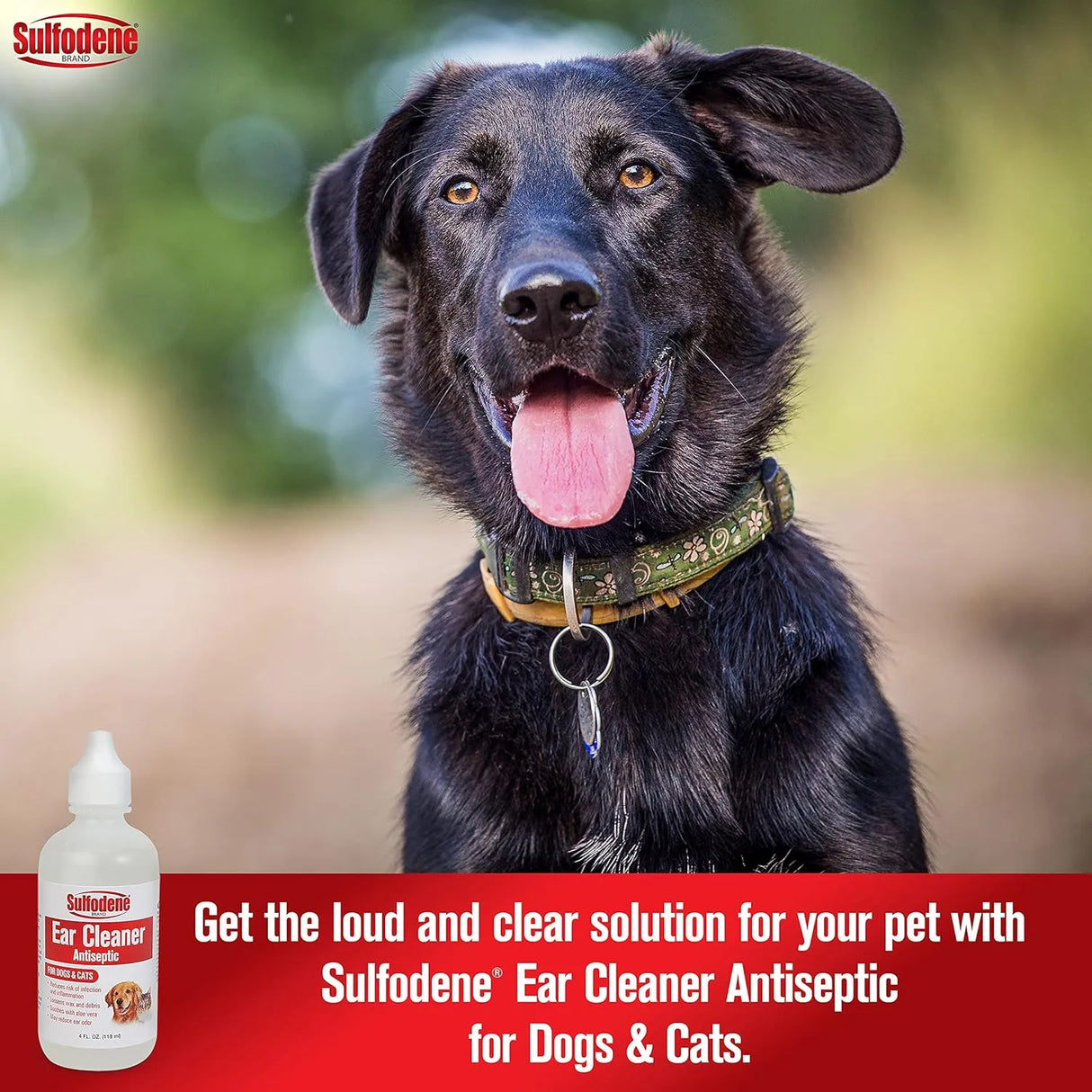 SULFODENE - Sulfodene Ear Cleaner for Dogs & Cats 4 Fl.Oz. - The Red Vitamin MX - Cuidado Del Oído De Perros - {{ shop.shopifyCountryName }}