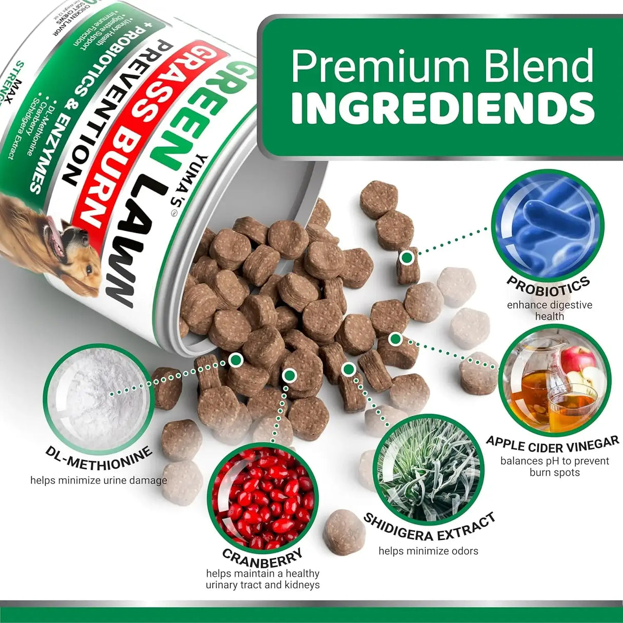 YUMA'S - YUMA'S Dog Urine Neutralizer for Lawn Chicken 170 Masticables - The Red Vitamin MX - Salud De Tracto Urinario Para Perros - {{ shop.shopifyCountryName }}