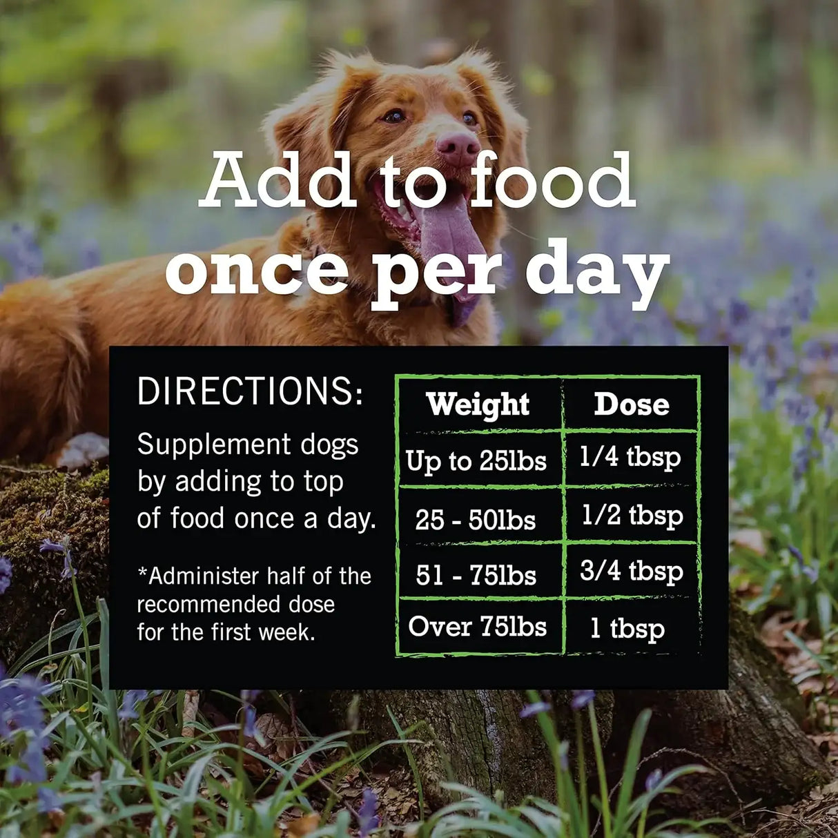 NATRIXONE - NatrixOne Omega 3 for Dogs 8 Fl.Oz. - The Red Vitamin MX - Aceite De Pescado Para Perros - {{ shop.shopifyCountryName }}