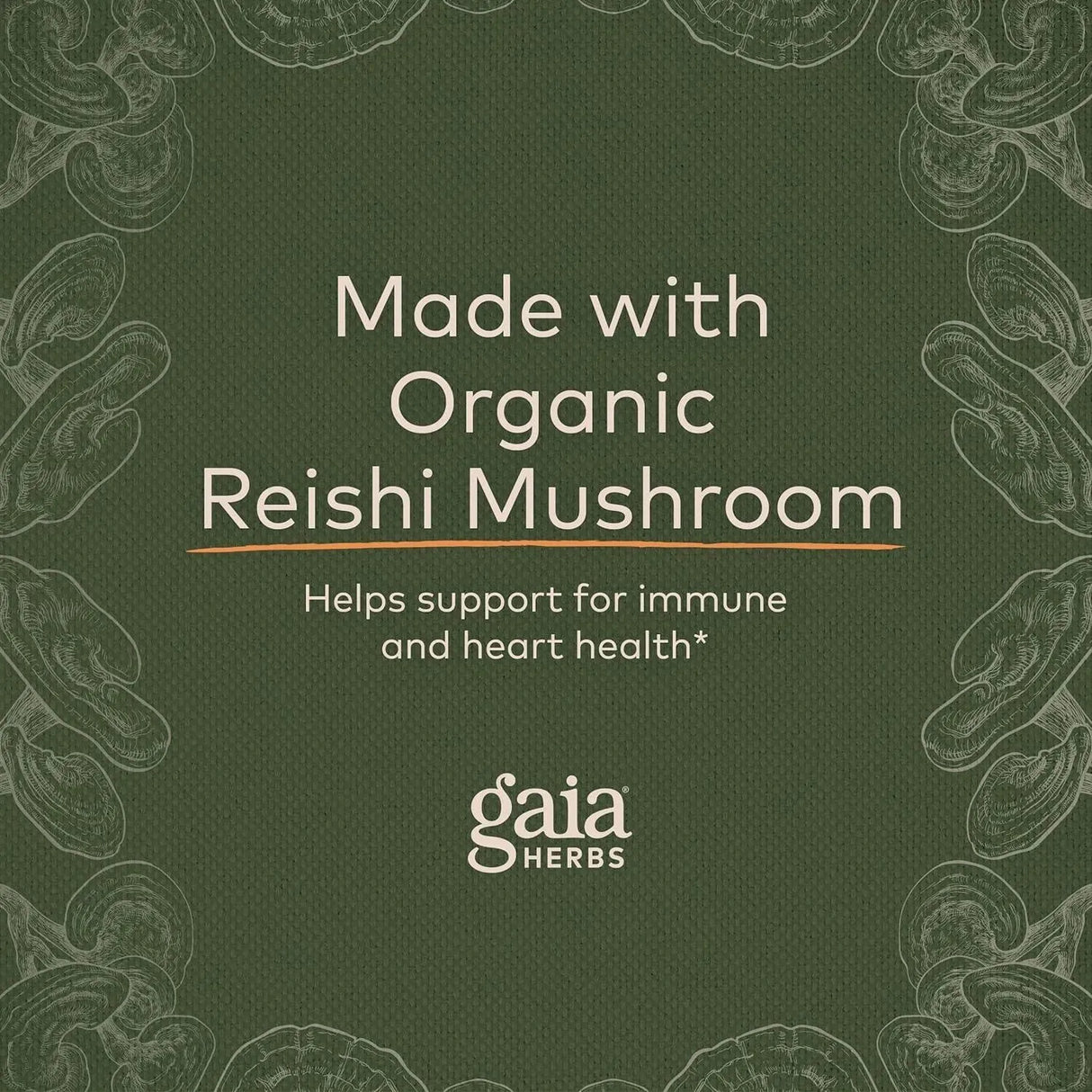 GAIA HERBS - Gaia Herbs Respiratory Mushroom Blend 40 Capsulas - The Red Vitamin MX - Suplementos Alimenticios - {{ shop.shopifyCountryName }}