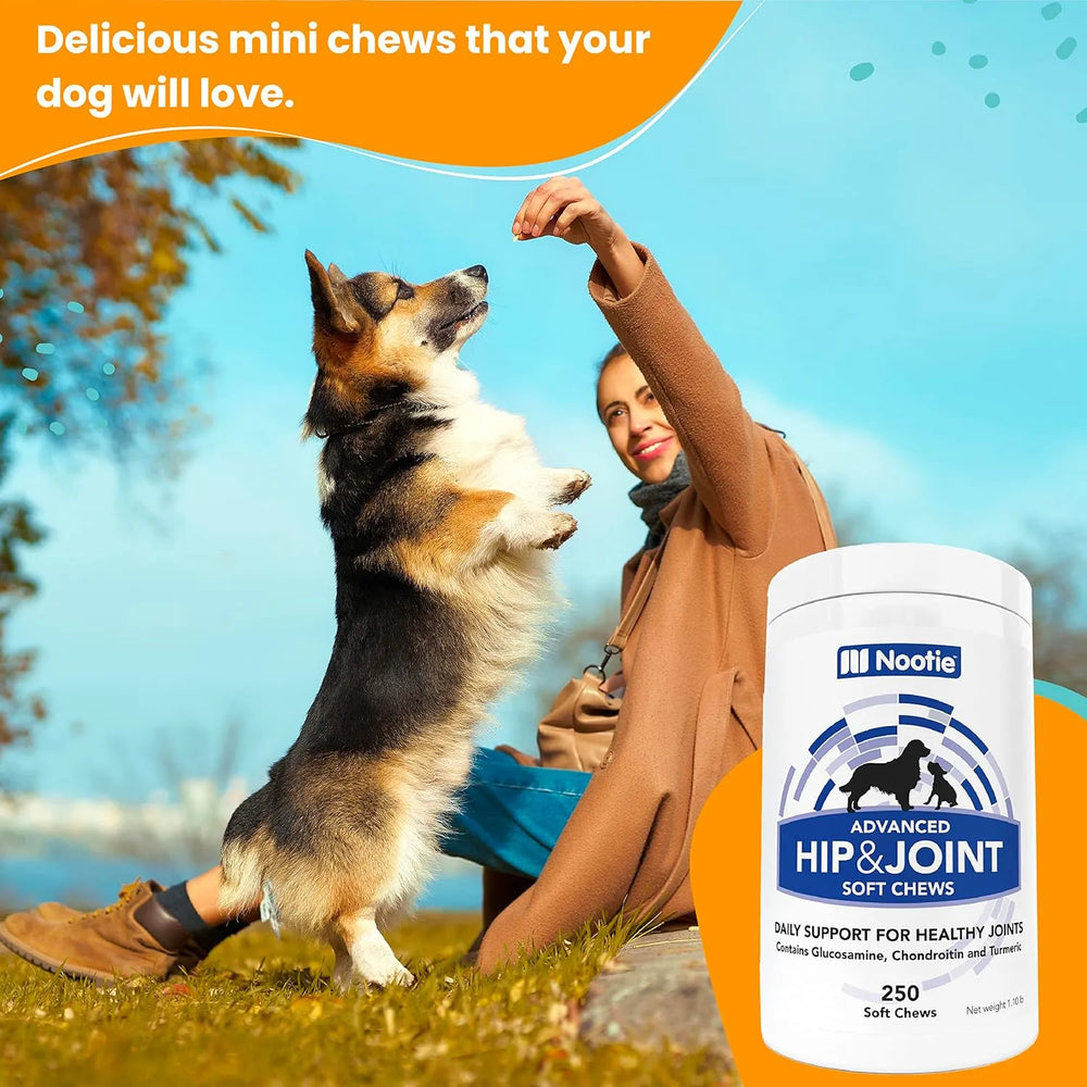 NOOTIE - Nootie Hip and Joint Soft Chews Supplement for Dogs 250 Masticables - The Red Vitamin MX - Cuidado De Cadera Y Articulaciones Para Perros - {{ shop.shopifyCountryName }}