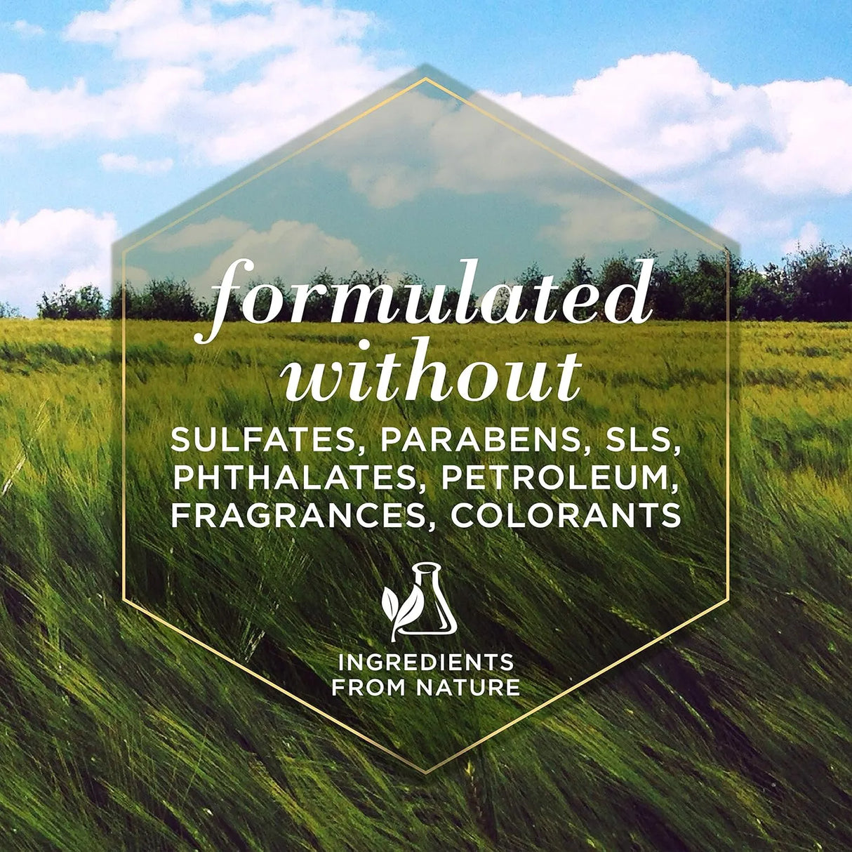 BURT'S BEES - Burt's Bees for Pets Eye Wash with Saline Solution for Dogs 4 Fl.Oz. - The Red Vitamin MX - Cuidado De Los Ojos De Los Perros - {{ shop.shopifyCountryName }}