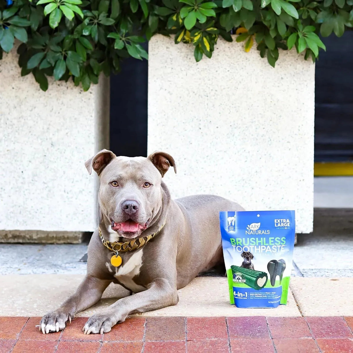 ARK NATURALS - Ark Naturals Brushless Toothpaste Dog Dental Chews for Extra Large Breeds 680Gr. - The Red Vitamin MX - Cuidado Dental Para Perros - {{ shop.shopifyCountryName }}