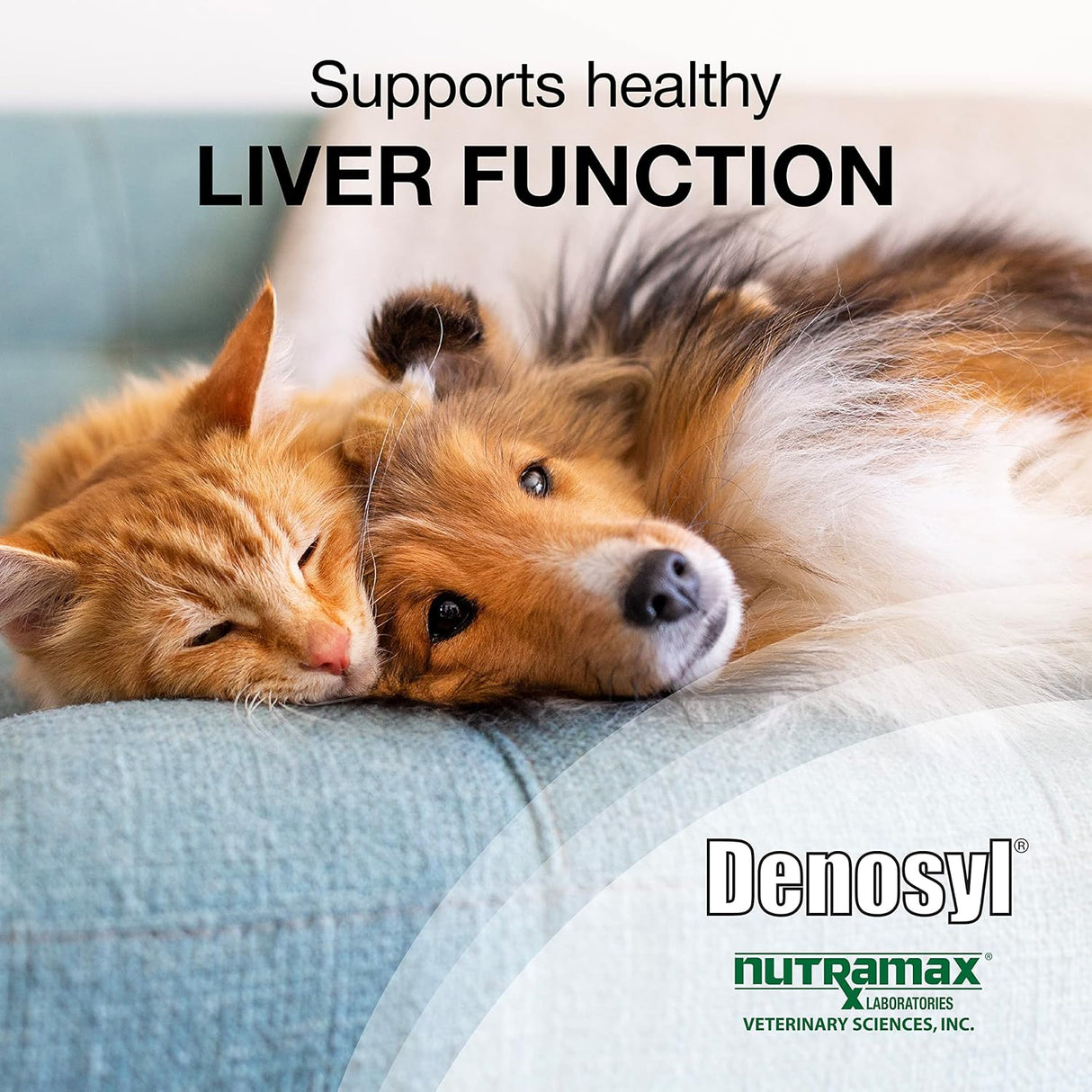Nutramax Denosyl Liver and Brain Health for Small Dogs and Cats 30 Tabletas