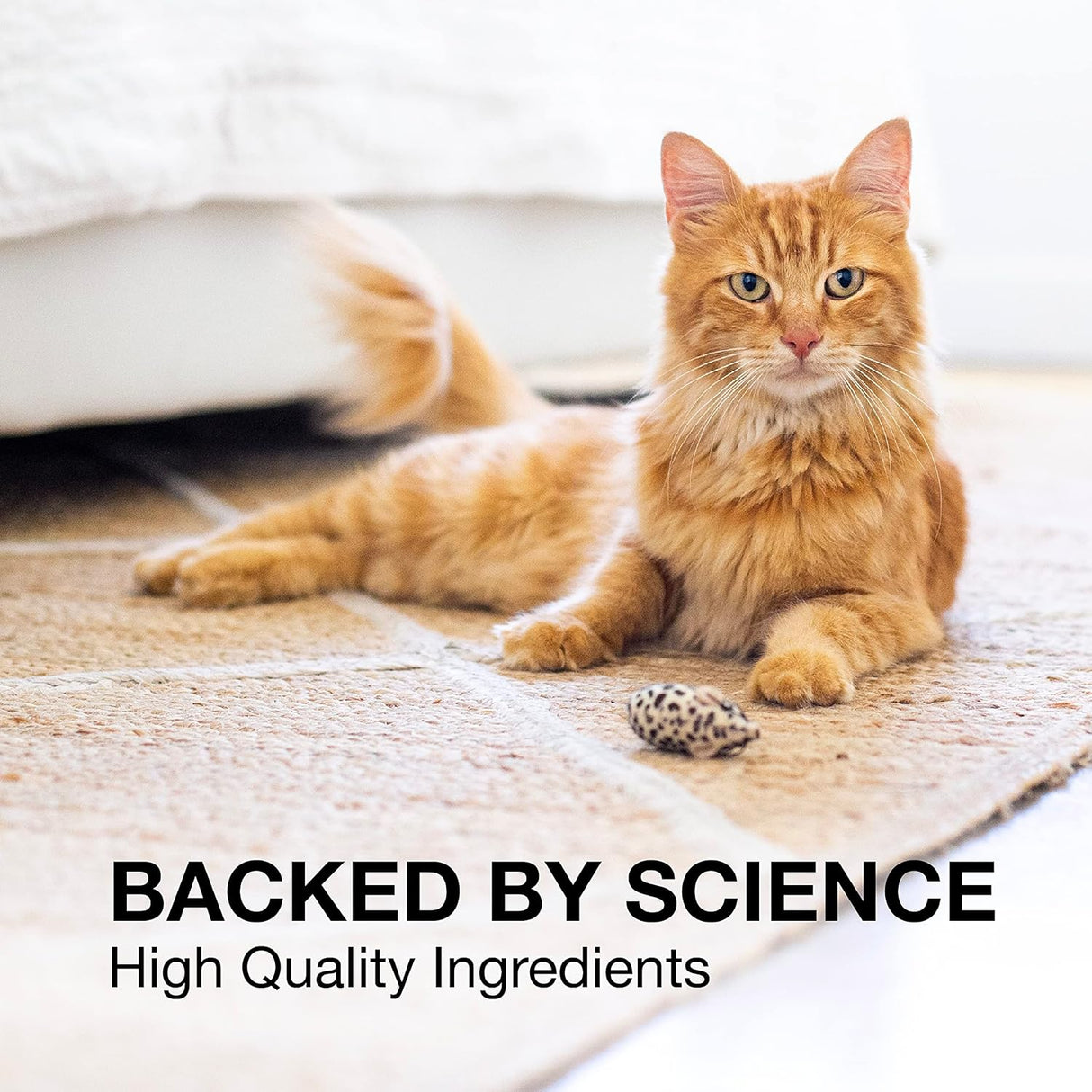 Nutramax Denosyl Liver and Brain Health for Small Dogs and Cats 30 Tabletas