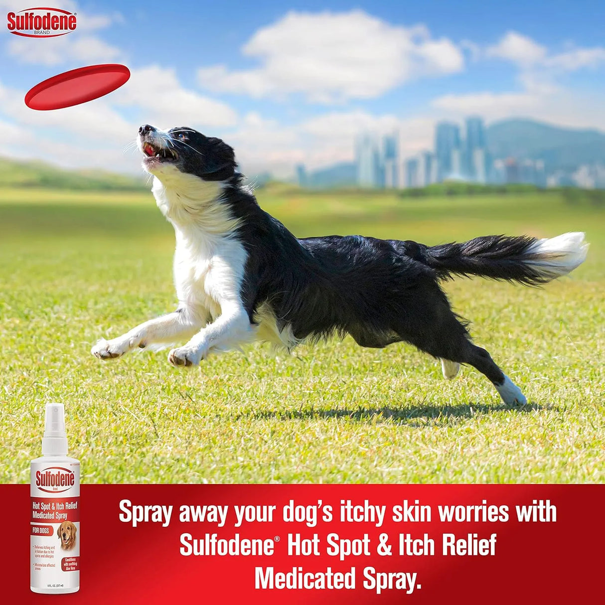 SULFODENE - Sulfodene Hot Spot & Itch Relief Medicated Spray for Dog 8 Fl.Oz. - The Red Vitamin MX - Remedios Para La Picazón De Perros - {{ shop.shopifyCountryName }}