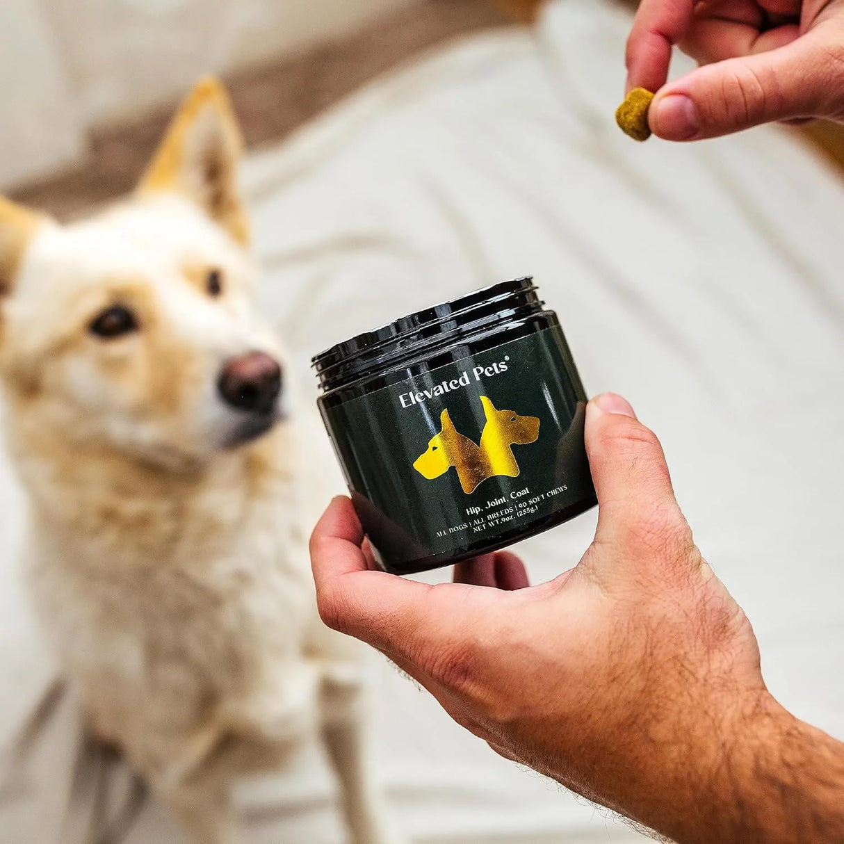 ELEVATED PETS - Elevated Pets Ultra-Healthy Omega 3 Fish Oil Treats 90 Masticables - The Red Vitamin MX - Aceite De Pescado Para Perros - {{ shop.shopifyCountryName }}