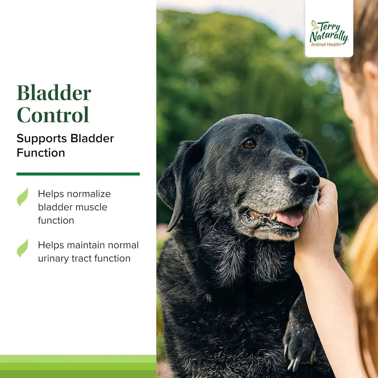 TERRY NATURALLY - Terry Naturally Bladder Control 30 Capsulas - The Red Vitamin MX - Salud De Tracto Urinario Para Perros - {{ shop.shopifyCountryName }}