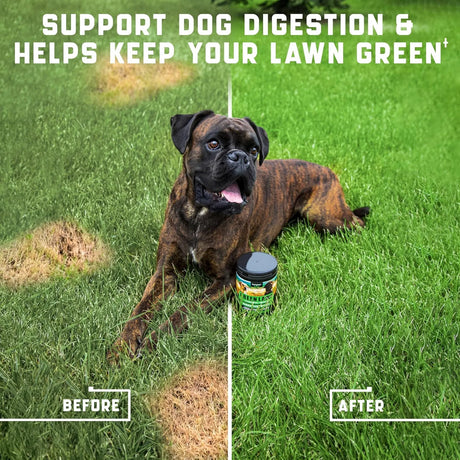 KINPUR - Kinpur Pet Care Green Lawn Chews for Dogs 180 Masticables - The Red Vitamin MX - Salud De Tracto Urinario Para Perros - {{ shop.shopifyCountryName }}