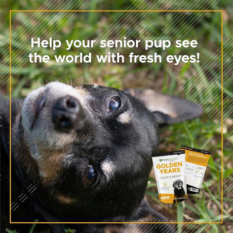 VETRISCIENCE - VetriScience Golden Years Clear and Bright Vision Support for Senior Dogs Chicken Flavor 60 Masticables - The Red Vitamin MX - Cuidado De Los Ojos De Los Perros - {{ shop.shopifyCountryName }}