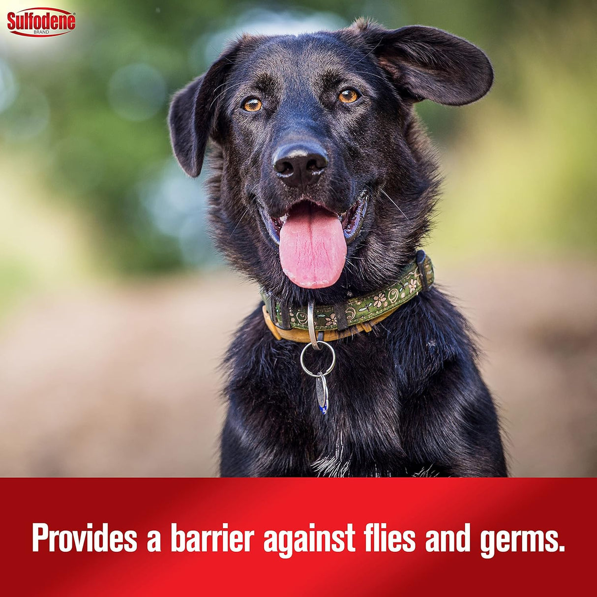 Sulfodene Dog Wound Care 3-Way Ointment 2 Oz.