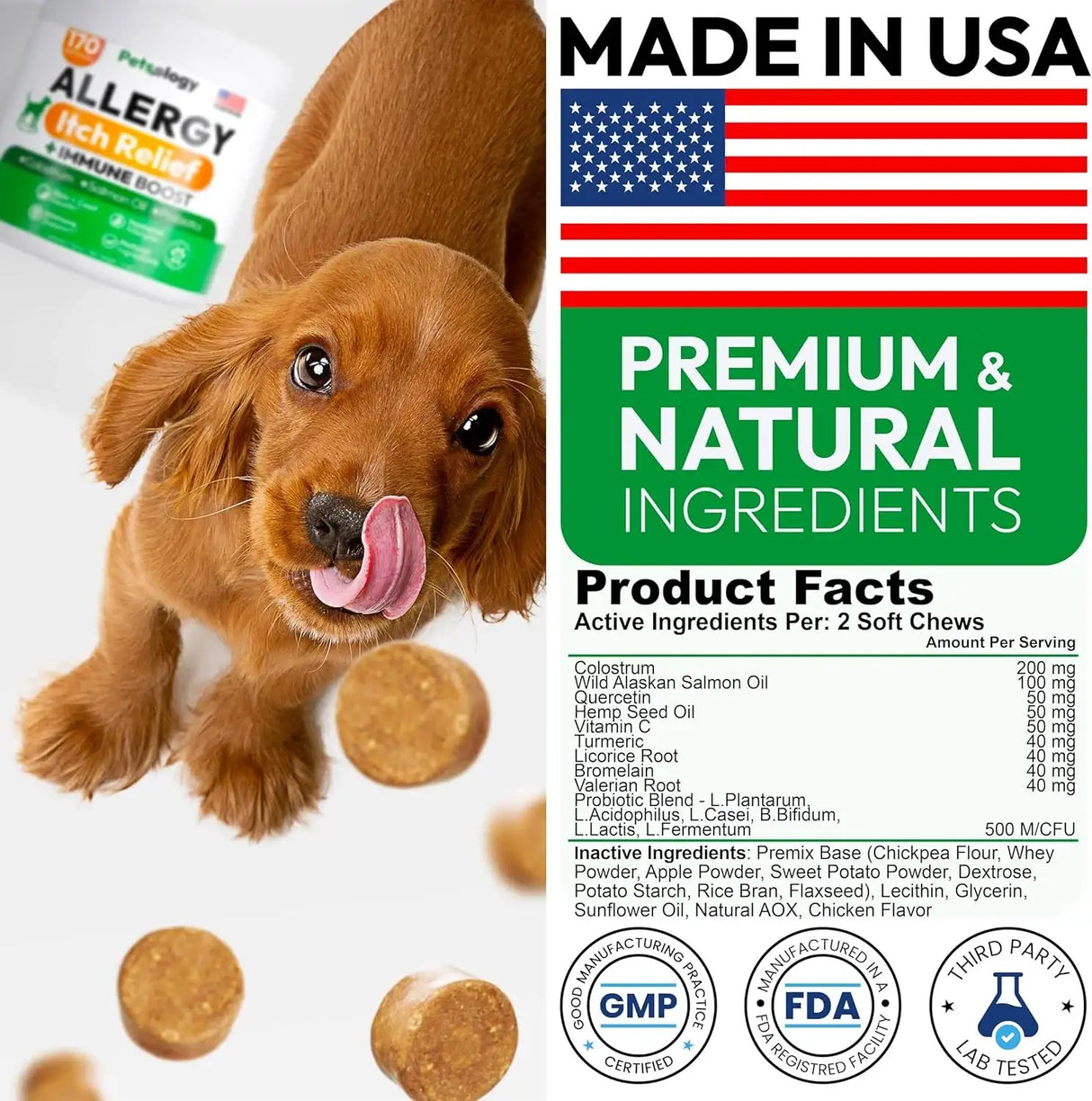 PETSOLOGY - Petsology Dog Allergy Relief Chews 170 Masticables - The Red Vitamin MX - Remedios Para La Picazón De Perros - {{ shop.shopifyCountryName }}