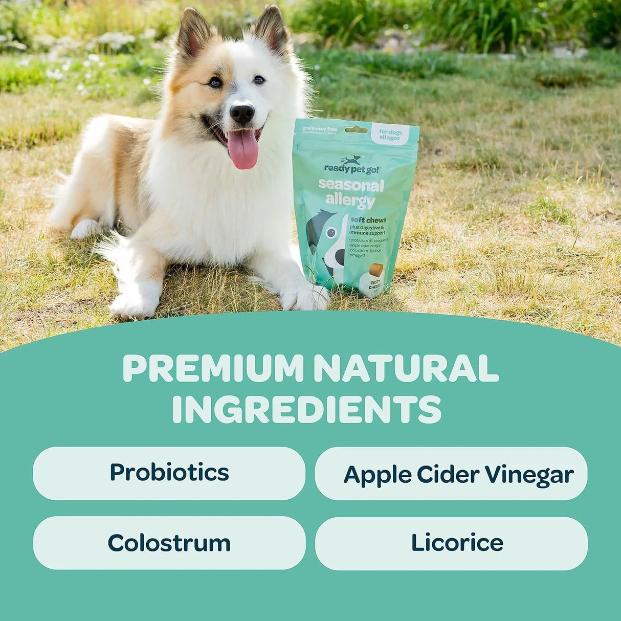 READY PET GO - Ready Pet Go! Dog Allergy Chews with Probiotics 90 Masticables - The Red Vitamin MX - Remedios Para La Picazón De Perros - {{ shop.shopifyCountryName }}