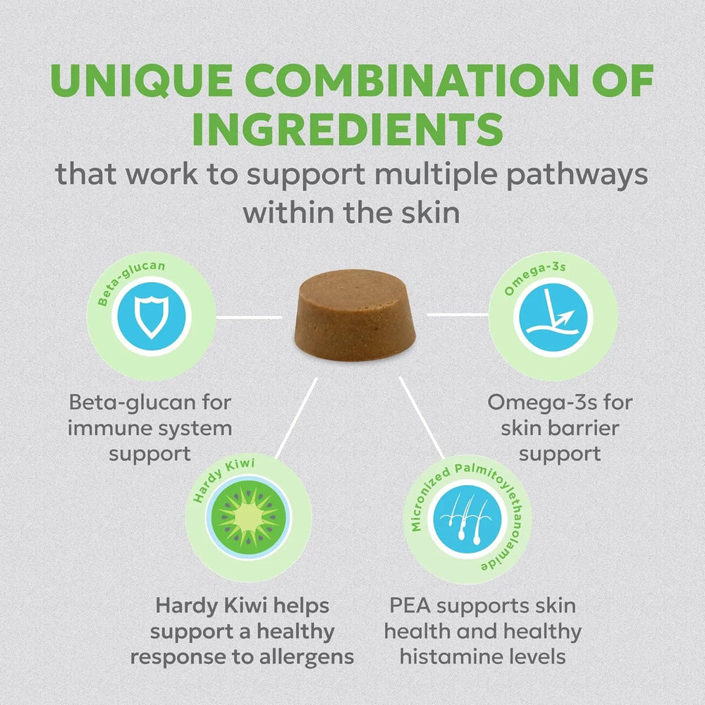 NUTRAMAX - Nutramax Dermaquin Skin Support for Large Dogs 31+ lbs 60 Masticables - The Red Vitamin MX - Remedios Para La Picazón De Perros - {{ shop.shopifyCountryName }}