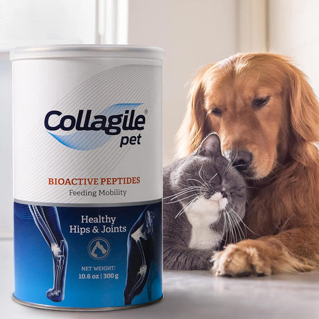 COLLAGILE - COLLAGILE pet Dog Hip & Joint Care Effective Powder 300Gr. - The Red Vitamin MX - Cuidado De Cadera Y Articulaciones Para Perros - {{ shop.shopifyCountryName }}