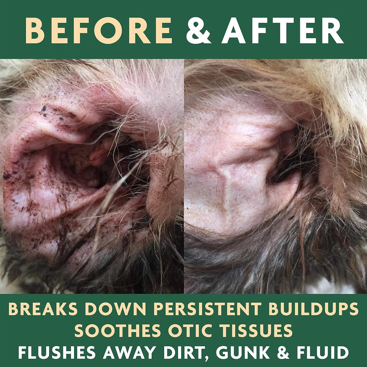 VET ORGANICS - Vet Organics EcoEars Dog Ear Cleaner Solution 8 Fl.Oz. 2 Pack - The Red Vitamin MX - Cuidado Del Oído De Perros - {{ shop.shopifyCountryName }}