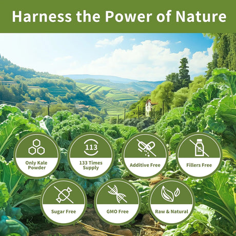 HUDETEX - Hudetex Kale Powder Organic 400Gr. - The Red Vitamin MX - Suplementos Alimenticios - {{ shop.shopifyCountryName }}