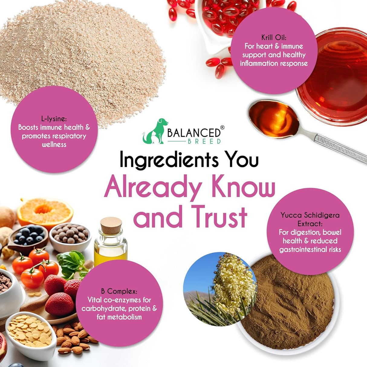 Balanced Breed L-Lysine Cats Immune Support Soft Chews 60 Masticables