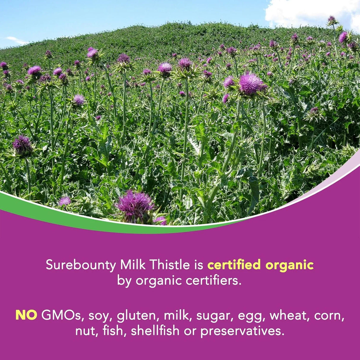 SUREBOUNTY - Surebounty Organic Milk Thistle 9000Mg. 90 Capsulas - The Red Vitamin MX - Suplementos Alimenticios - {{ shop.shopifyCountryName }}
