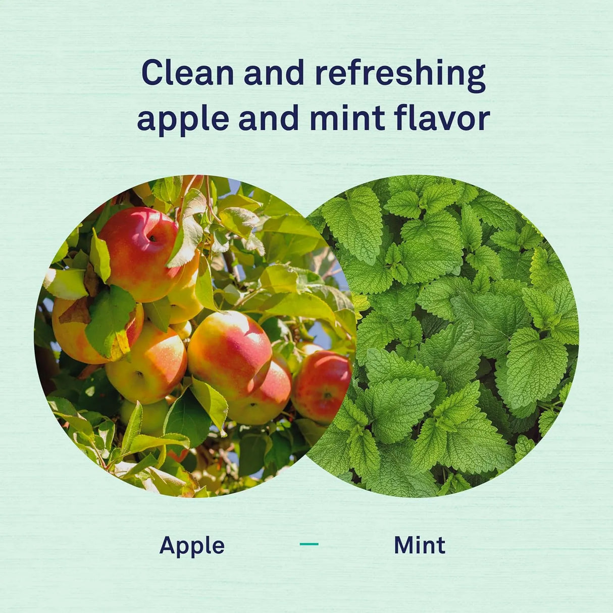 PETPOST - Petpost Dental Wipes for Dogs 100 Toallitas - The Red Vitamin MX - Cuidado Dental Para Perros - {{ shop.shopifyCountryName }}