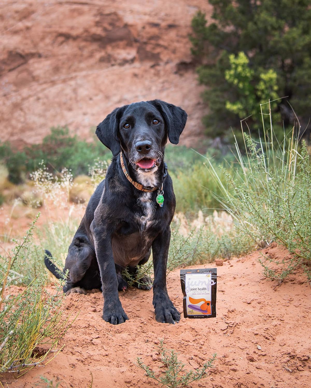 In Clover Jump Soft Chews for Daily Joint Care and Endurance Support for Dogs 150Gr.