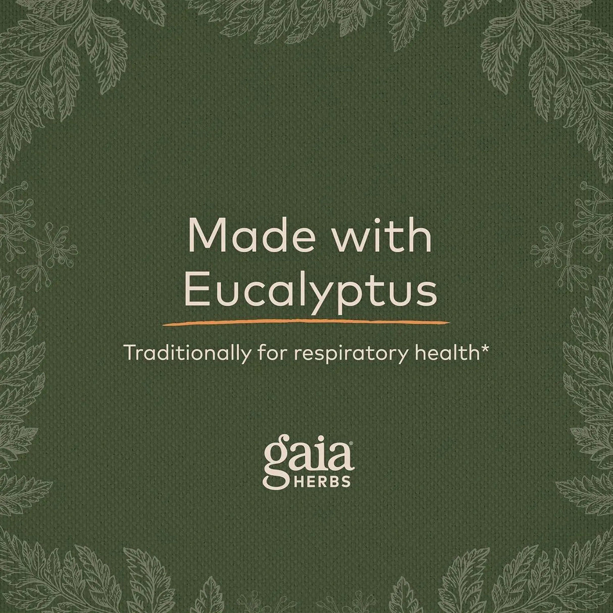 GAIA HERBS - Gaia Herbs Bronchial Wellness Syrup 160Ml. - The Red Vitamin MX - Suplementos Alimenticios - {{ shop.shopifyCountryName }}