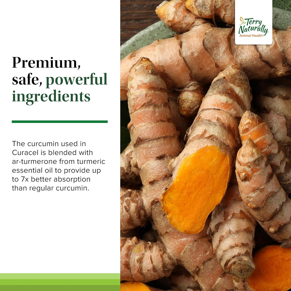 Terry Naturally Curacel Curcumin Health Supplement for Dogs 60 Capsulas Blandas