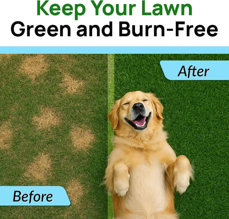 PAWFECTCHEW - PAWFECTCHEW Green Grass Dog Chews w/Probiotics 120 Masticables - The Red Vitamin MX - Salud De Tracto Urinario Para Perros - {{ shop.shopifyCountryName }}